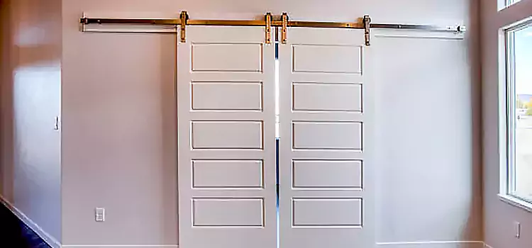 Glass Barn Door with Installation Hardware Kit North Plainfield