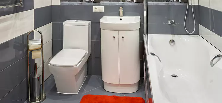 Hansgrohe Shaving Mirror North Plainfield
